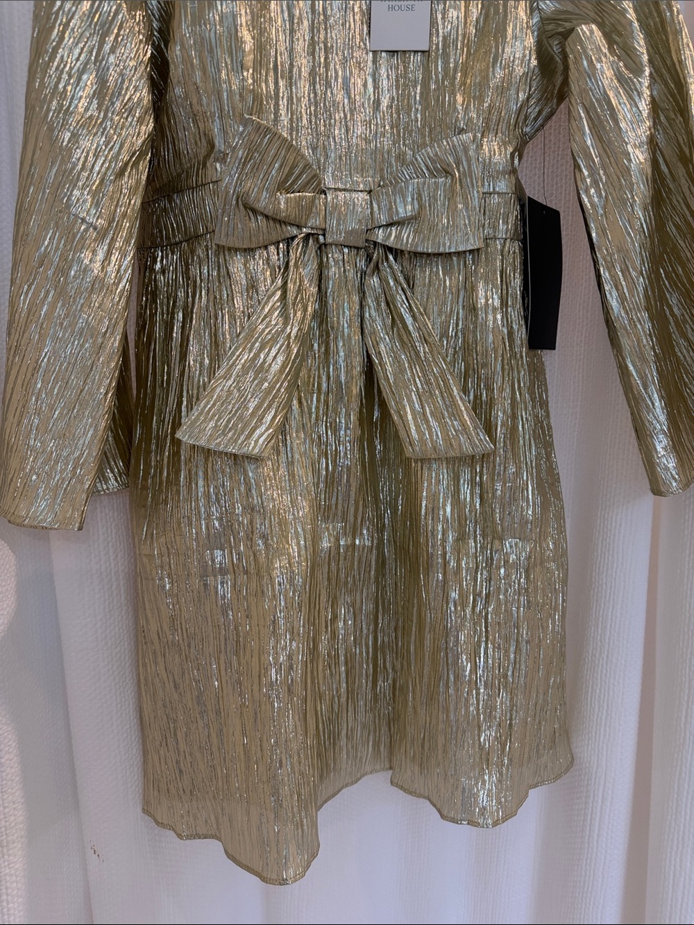 Gold Metallic Tie-Waist Mini Dress - Picture 12 of 16